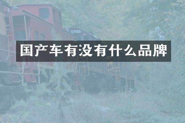 国产车有没有什么品牌