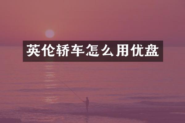 英伦轿车怎么用优盘