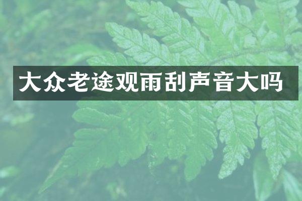 大众老途观雨刮声音大吗