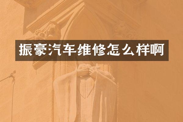 振豪汽车维修怎么样啊