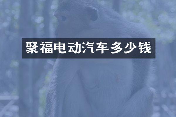 聚福电动汽车多少钱