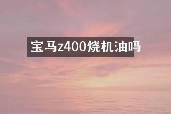 宝马z400烧机油吗