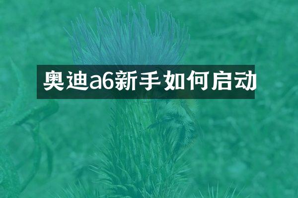 奥迪a6新手如何启动