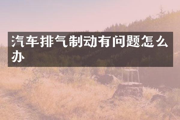 汽车排气制动有问题怎么办