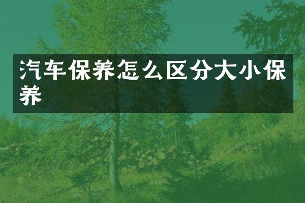汽车保养怎么区分大小保养