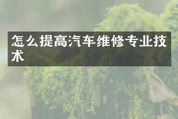 怎么提高汽车维修专业技术