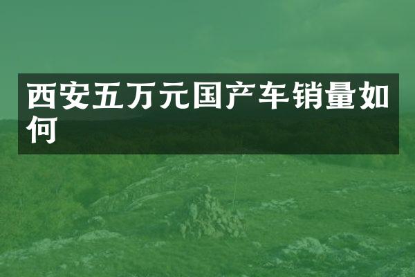 西安五万元国产车销量如何