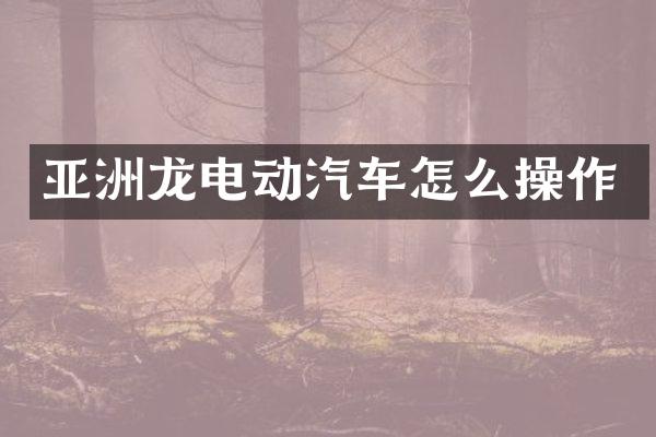 亚洲龙电动汽车怎么操作