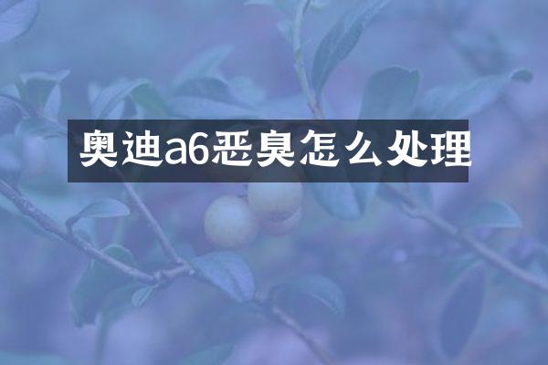 奥迪a6恶臭怎么处理