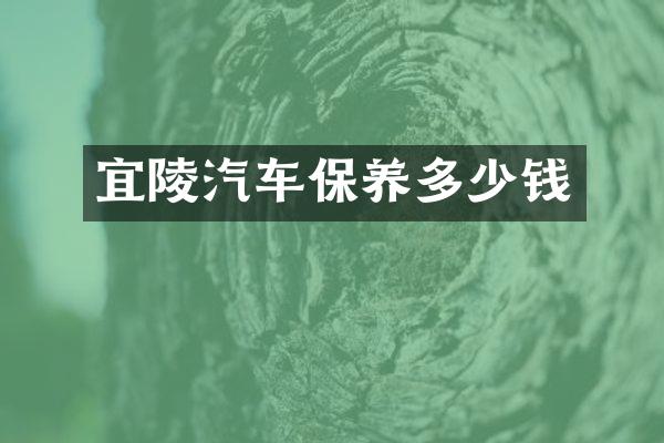 宜陵汽车保养多少钱