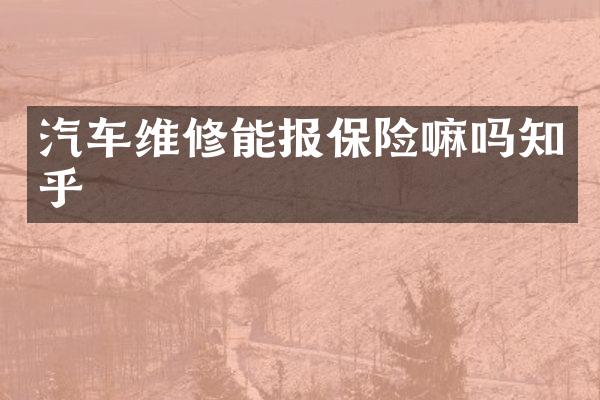 汽车维修能报保险嘛吗知乎