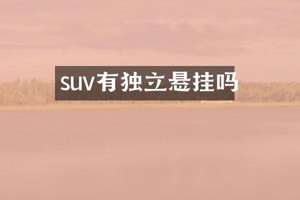 suv有独立悬挂吗