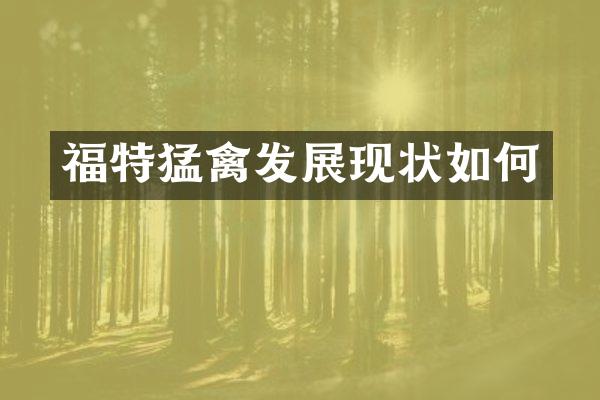 福特猛禽发展现状如何
