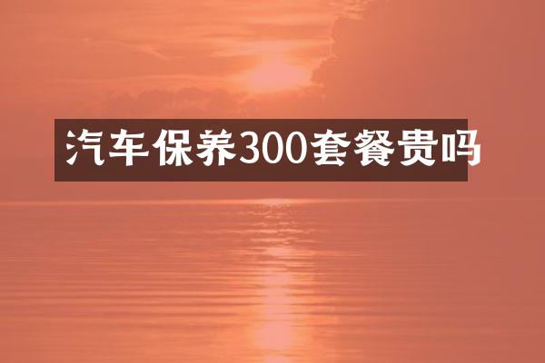 汽车保养300套餐贵吗