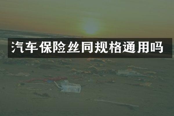 汽车保险丝同规格通用吗