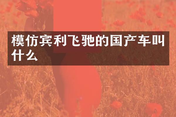 模仿宾利飞驰的国产车叫什么