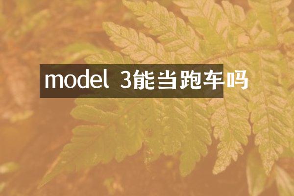 model 3能当跑车吗