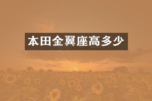 本田金翼座高多少