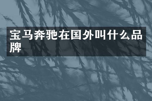 宝马奔驰在国外叫什么品牌