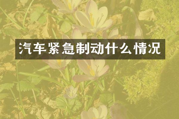 汽车紧急制动什么情况