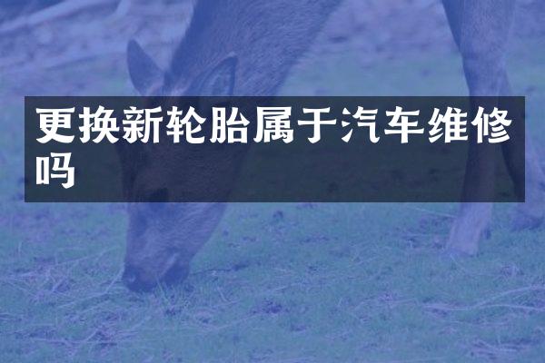 更换新轮胎属于汽车维修吗