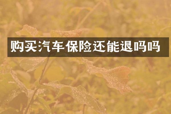 购买汽车保险还能退吗吗