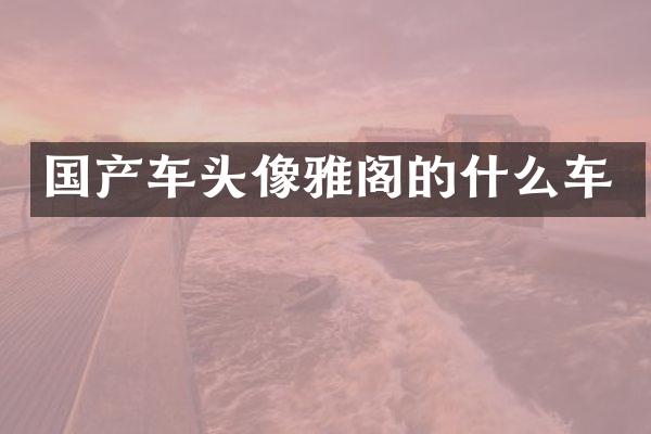 国产车头像雅阁的什么车