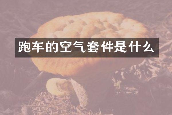 跑车的空气套件是什么
