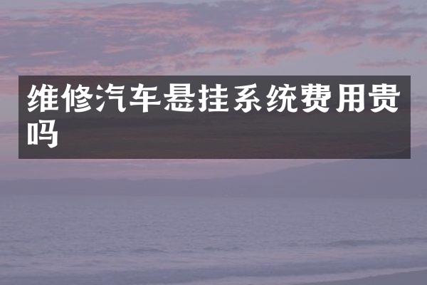 维修汽车悬挂系统费用贵吗
