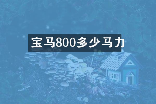 宝马800多少马力