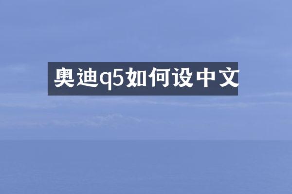 奥迪q5如何设中文