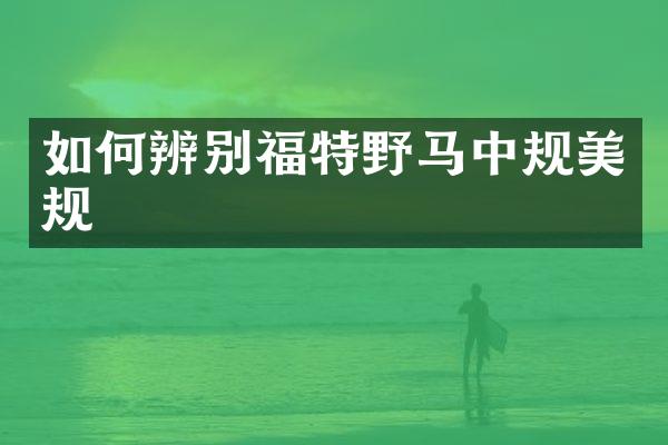 如何辨别福特野马中规美规