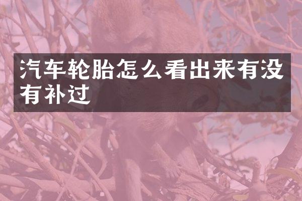 汽车轮胎怎么看出来有没有补过