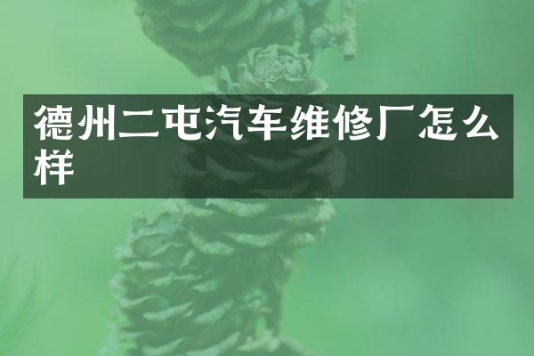 德州二屯汽车维修厂怎么样