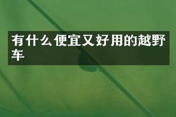 有什么便宜又好用的越野车