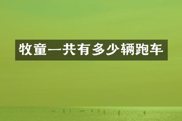 牧童一共有多少辆跑车
