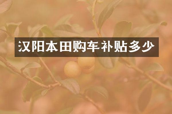 汉阳本田购车补贴多少