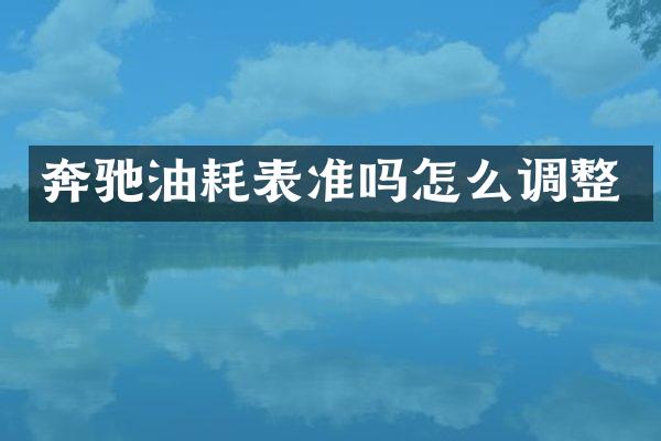 奔驰油耗表准吗怎么调整
