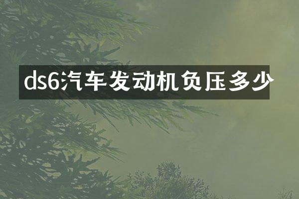 ds6汽车发动机负压多少