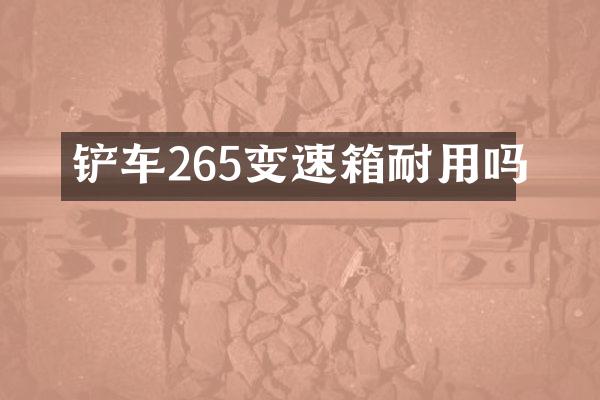 铲车265变速箱耐用吗