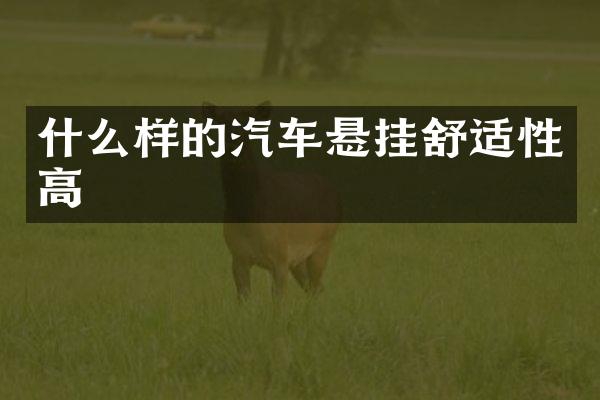 什么样的汽车悬挂舒适性高