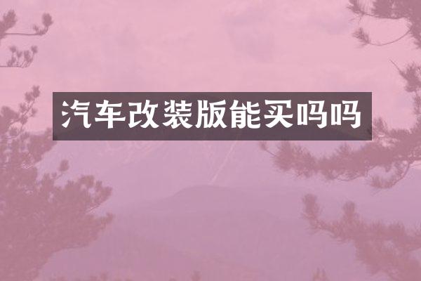 汽车改装版能买吗吗