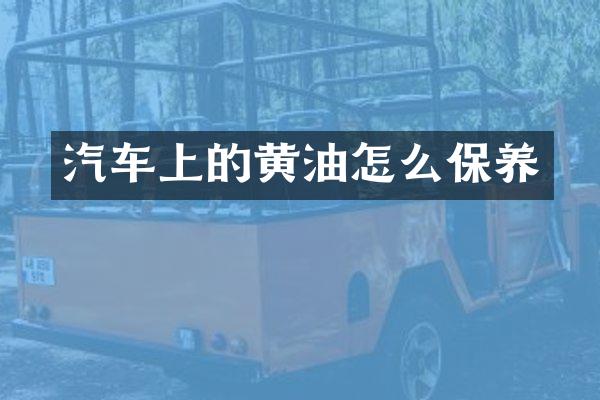 汽车上的黄油怎么保养