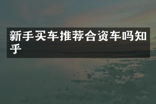 新手买车推荐合资车吗知乎
