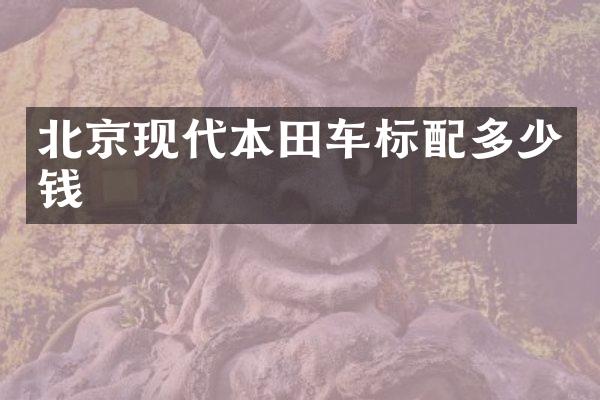 北京现代本田车标配多少钱