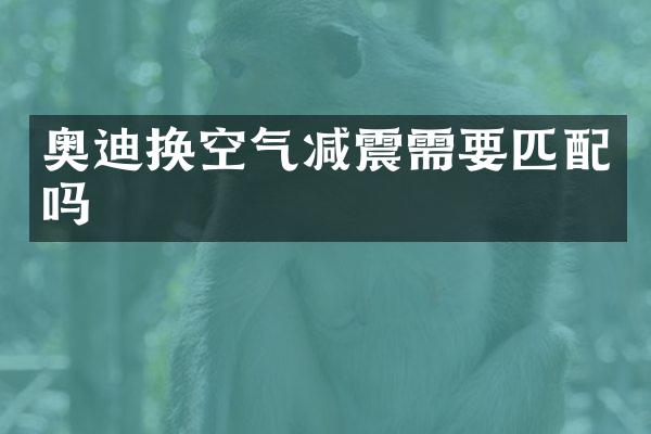 奥迪换空气减震需要匹配吗