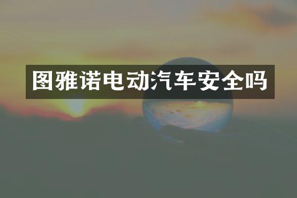 图雅诺电动汽车安全吗