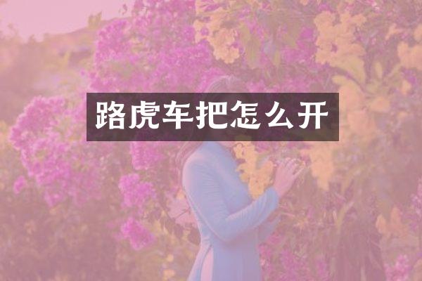 路虎车把怎么开