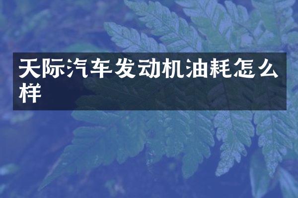 天际汽车发动机油耗怎么样