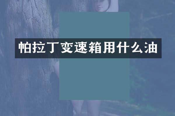 帕拉丁变速箱用什么油